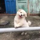 sm1z的个人资料头像