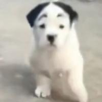 给我一支烟的时间788头像