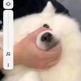 只喝怡宝zZ头像