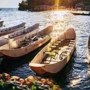 朝阳395的个人资料头像