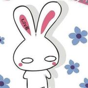 lilou的个人资料头像