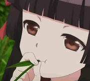 锅子锅子的个人资料头像