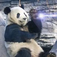 宇宙人斯尼克头像