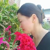 杨燕8361头像