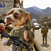 A清汤在哪儿头像