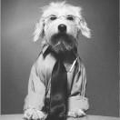 周超_的个人资料头像