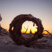 C99z的个人资料头像