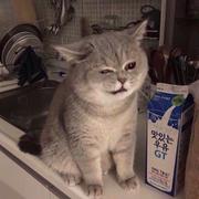 用户7631121663655的个人资料头像