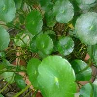 最后的农民七零后头像