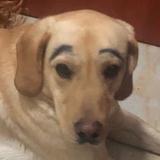 用户907898950388头像