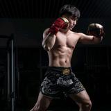 fitness刘叫兽头像