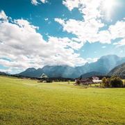 Andrew121的个人资料头像