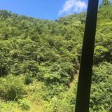 松头像