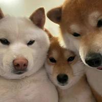 用户4801514025815头像