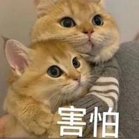 铁驭leo头像