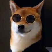 折木鹿z的个人资料头像