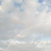 xL的个人资料头像