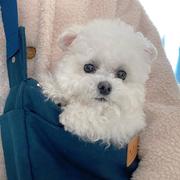 别处相见的个人资料头像