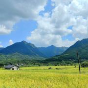 水利万物的个人资料头像