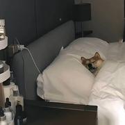 Atian的个人资料头像