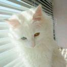 咸鱼君70138的个人资料头像