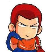 执着的老鸟的个人资料头像