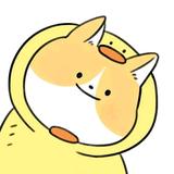 D       .头像