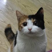 封不觉w的个人资料头像
