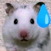 mayyyyyyyy的个人资料头像