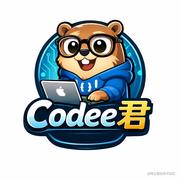 Coding君的个人资料头像