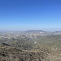 桃花依旧笑春风1001头像