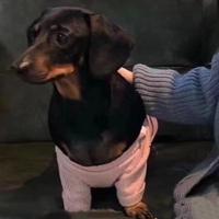 身拥海洋748头像