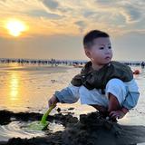 乌贼爱潜水30头像