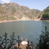 默念2091头像