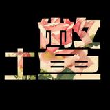 老K视角头像