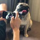 焦杨的个人资料头像