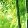 优美饭团KQ头像