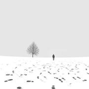 沉寂657的个人资料头像