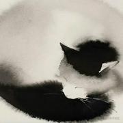 热心市民小张的个人资料头像