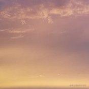 渔夫和鱼的个人资料头像