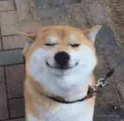 HSH的个人资料头像