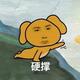 我不是阿想啊 · 威朗车主·车龄半年头像