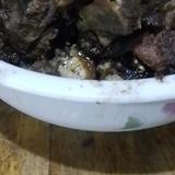 糖宝头像