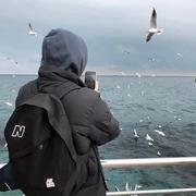 纯情小白的个人资料头像