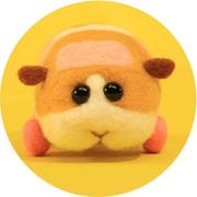 oorangeocean的个人资料头像