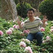 黄世淞的个人资料头像