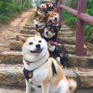 叶锦鹏的个人资料头像