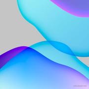 Router的个人资料头像