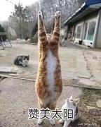 淮北与枳的个人资料头像