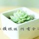 高级西柚5V7头像